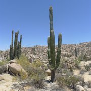 Baja2011 1058 : Baja2011